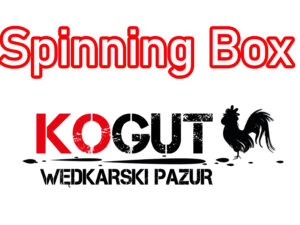 Świąteczny Spinning Box + Czapka