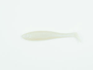 Piskorz Niebieska Perła